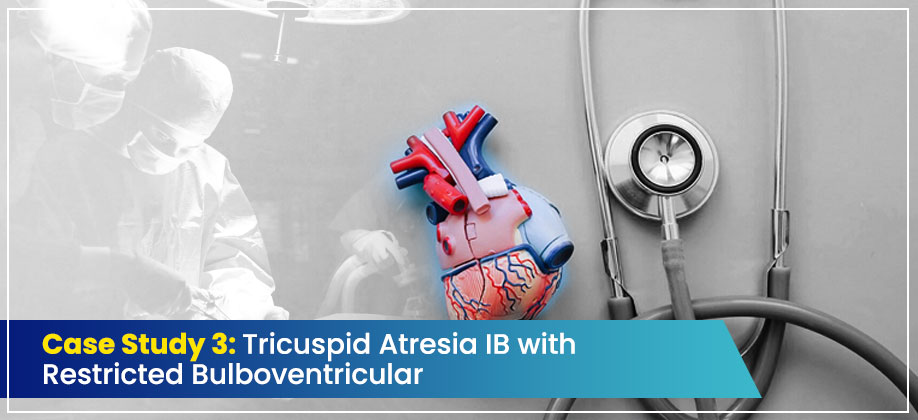 Case Study 3: Tricuspid Atresia IB with Restricted Bulboventricular Foramen