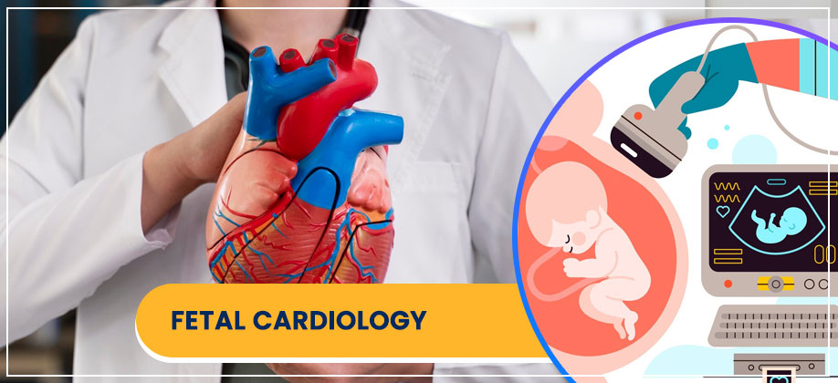 Fetal Cardiology Treatments in Kolkata