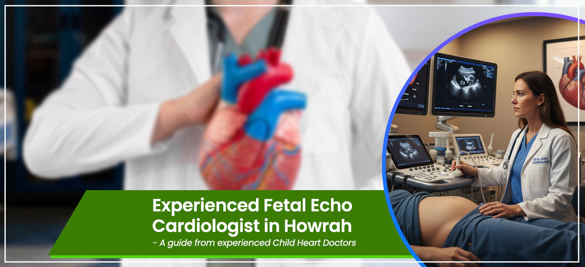 Expert Fetal Echo Cardiologist in Howrah in 2025